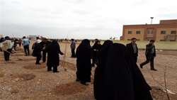 کاشت درخت در محوطه دانشکده بهداشت